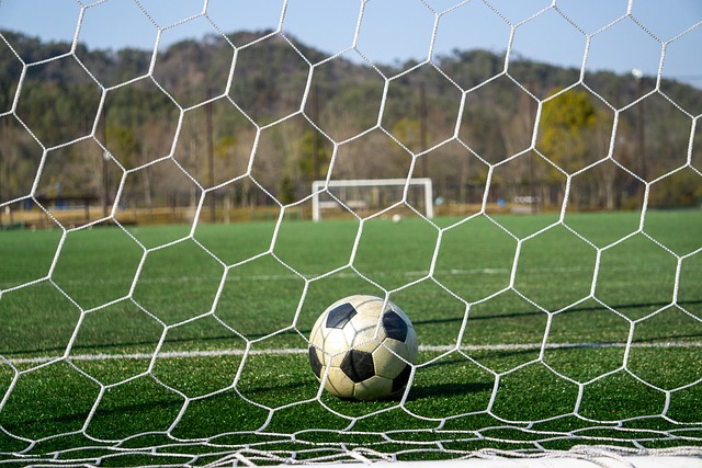 “我永远不会忘记我的根在哪里”：北方之声帕瓦尔专访